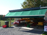 Commercial Awning